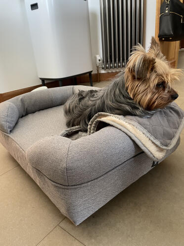 Crombie’s new bed 