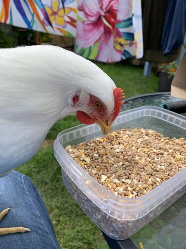 Mixed corn-yum! 