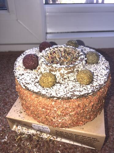 Birthday Cake For My  Rabbit 