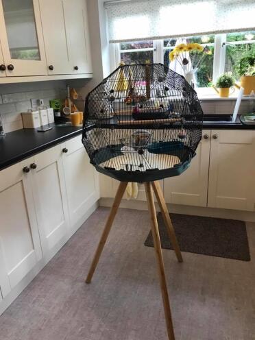 Newly erected cage and stand