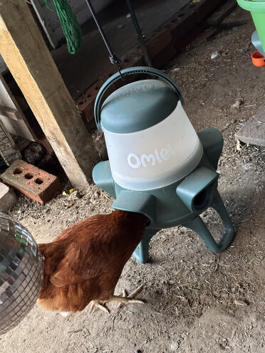 Pas de déchets du tout 