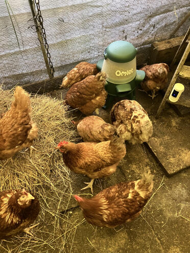 Il paradiso dei soccorritori 