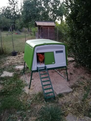 New poultry house in place