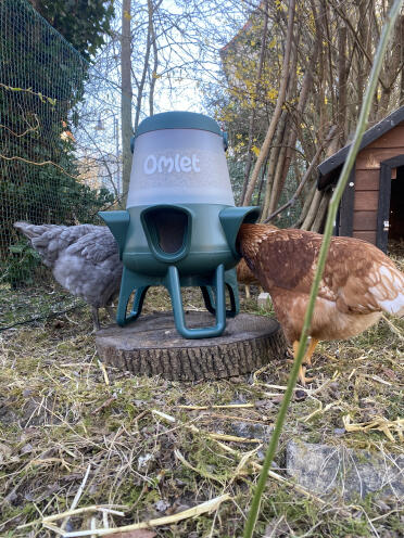 We have invited to the table 