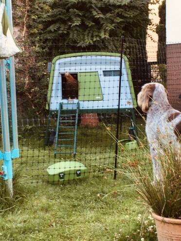 Whether i should dare to Go out there?