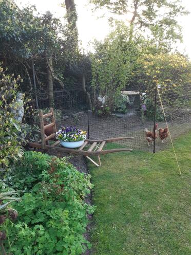 A discreet fence in your garden