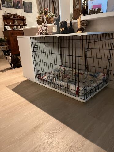 A comfortable space for your dog