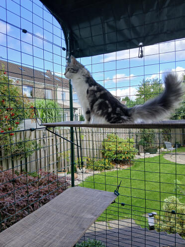 Esplorando il nostro nuovo catio con balcone