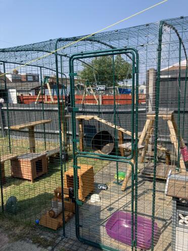 Customised 3 x 5 metre enclosure for 3 cats