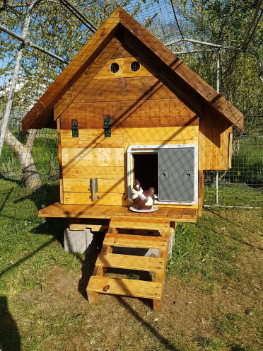Omlet Grey Automatic Chicken Coop Door attached to Wooden Chicken Coop