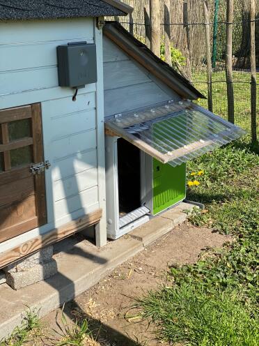 Omlet Green Automatic Chicken Coop Door Attached to Wooden Chicken Coop