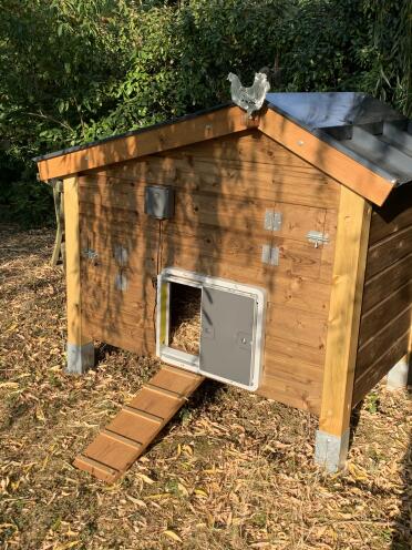 Omlet grey automatic chicken coop door attached to wooden chicken coop