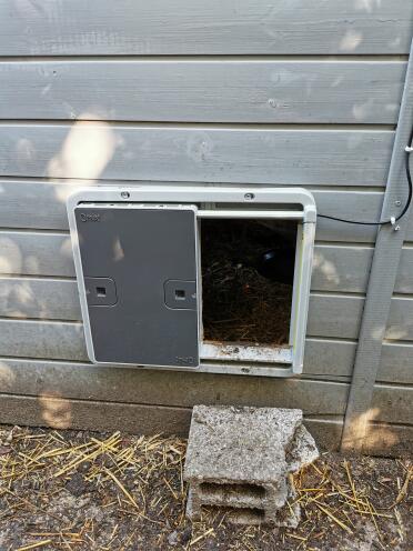 An Omlet automatic door opener attached a grey wooden chicken house.