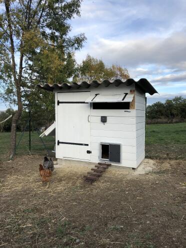 Keeping chickens is easier with the Autodoor!