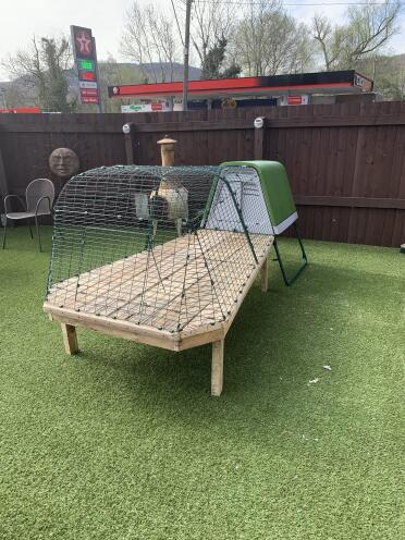 Rabbit table