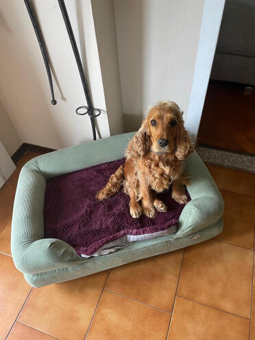 Nina 