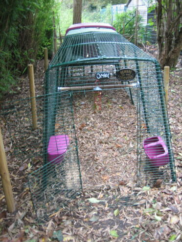 Omlet chicken coops create a safe habitat for chickens