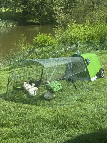 Omlet Go, smart door, 2 meter lauflänge und klare abdeckung 