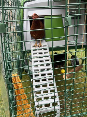 Nugget making use of the Autodoor