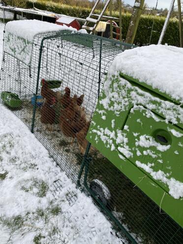 Snow is no problem for Omlet