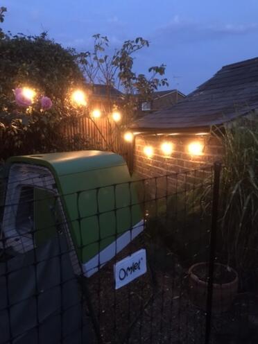 Some pretty lights around mabel and gerties house