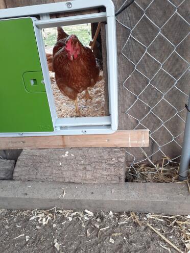 They love the new door!! It's perfect 