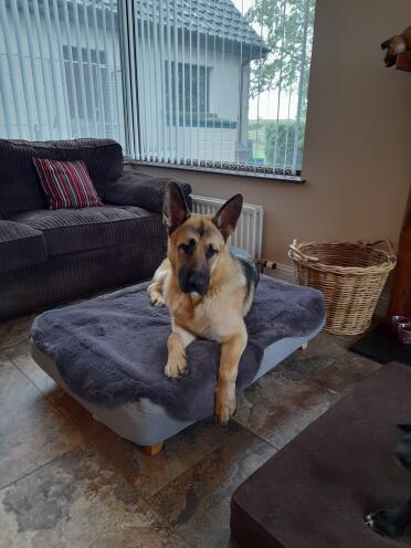 My handsome boy Luka.