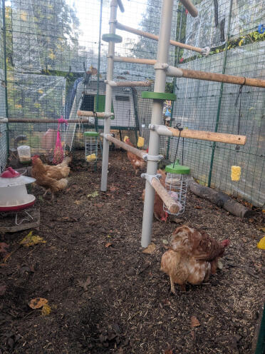 Giornata di gioco in incognito! 