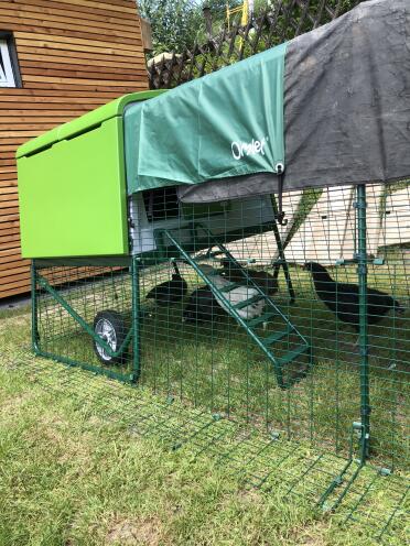 Our chicken cottage