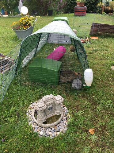 Our rabbits love the Eglu Go