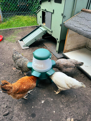 Great food bowl! 