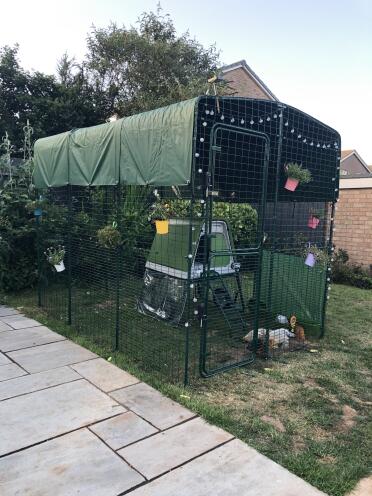 Omlet provides everything you need for your chickens