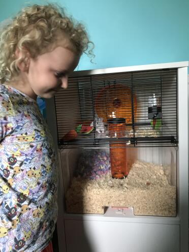 Meine tochter liebt ihren neuen hamster oreo's home