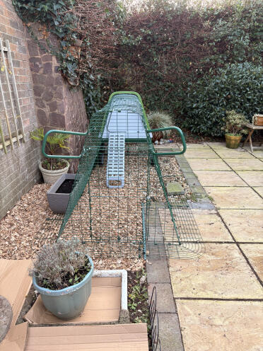 Grande aggiunta al giardino