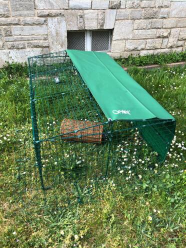 Omlet Zippi Rabbit Playpen in Garden