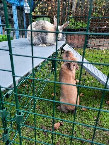 Great additional run enrichment