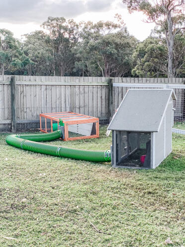 A great way for rabbits to Switch between their habitats