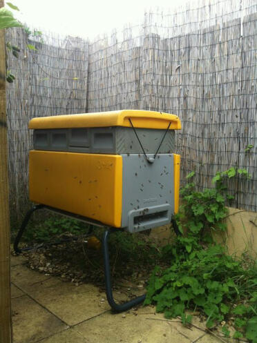Yellow Beehaus beehive by Omlet.