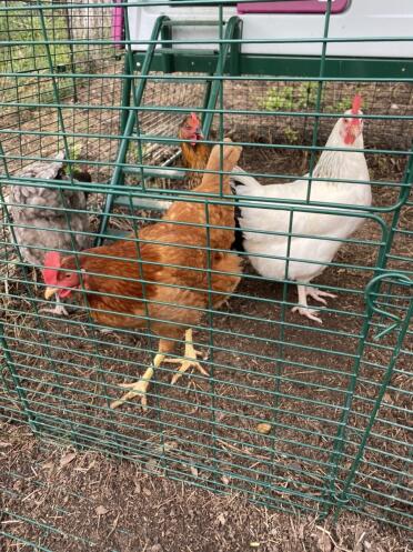 They wait for the morning exit