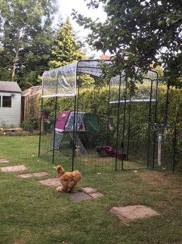 Extra room for when we can’t supervise free ranging!