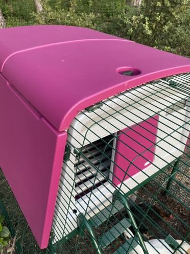 Large enclosure Eglu cubz