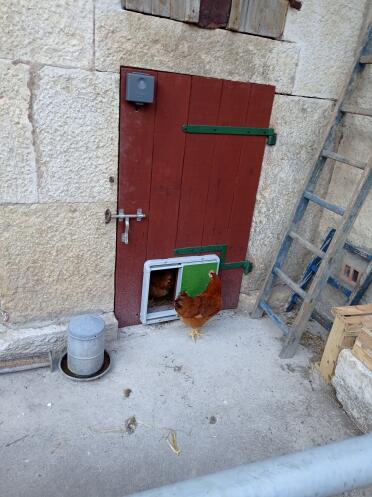 The door will open and close at the time or light level you choose