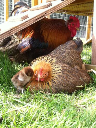 Familienschnappschuss!