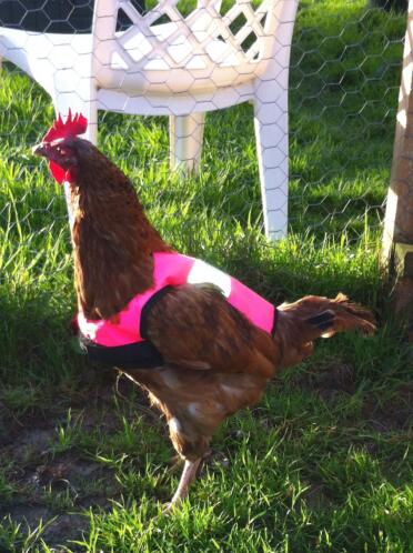 Beeindruckende jacke!