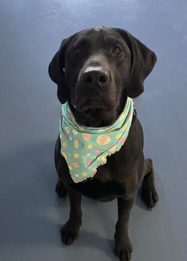 2yr old George