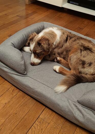 A cosy place for a well deserved nap