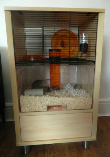 Birch Qute with Storage