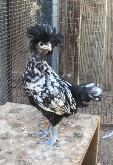 Entschuldigen sie bitte.