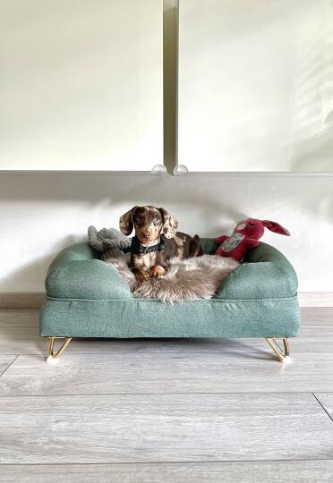 A beautiful bed