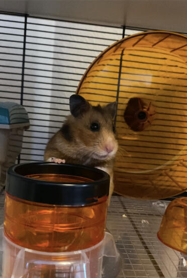 Now what’s down there???